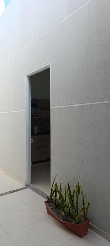 664998149.jpg