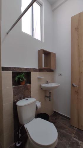 730054087.jpg