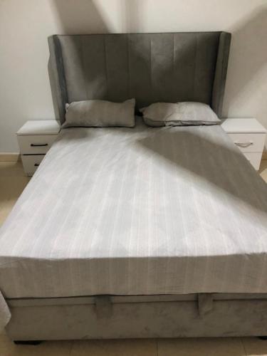 690164679.jpg