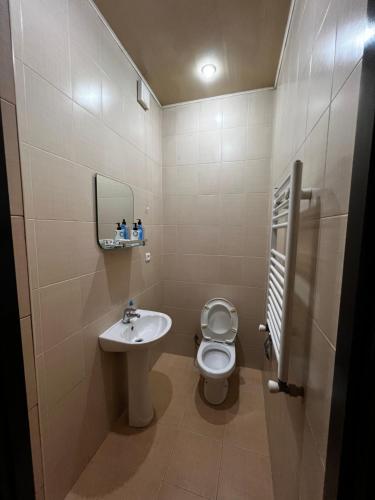 729516535.jpg