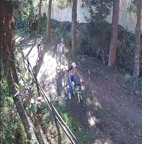 705900586.jpg