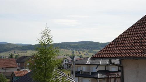 709737040.jpg