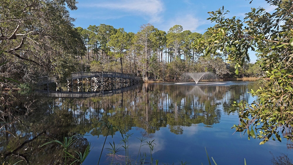 Water view