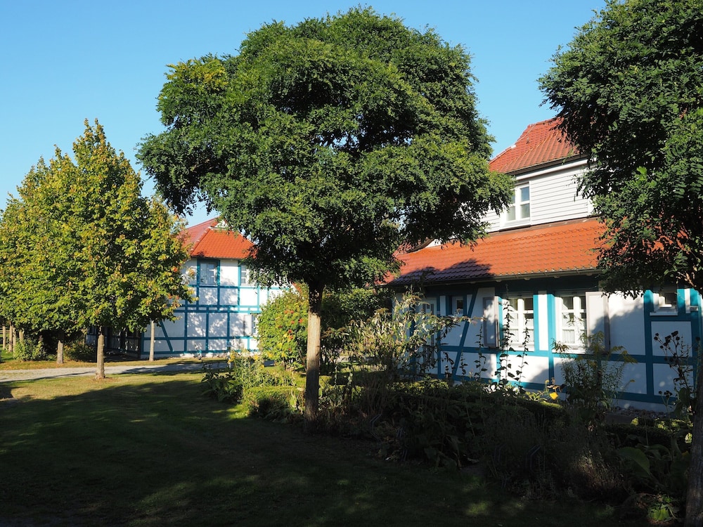 Primary image