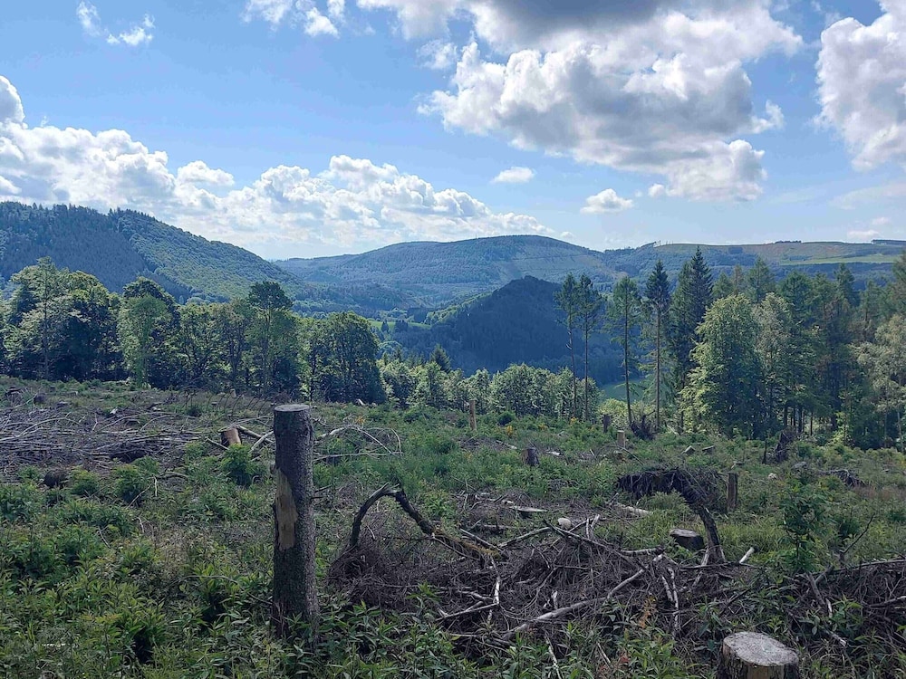 View from property