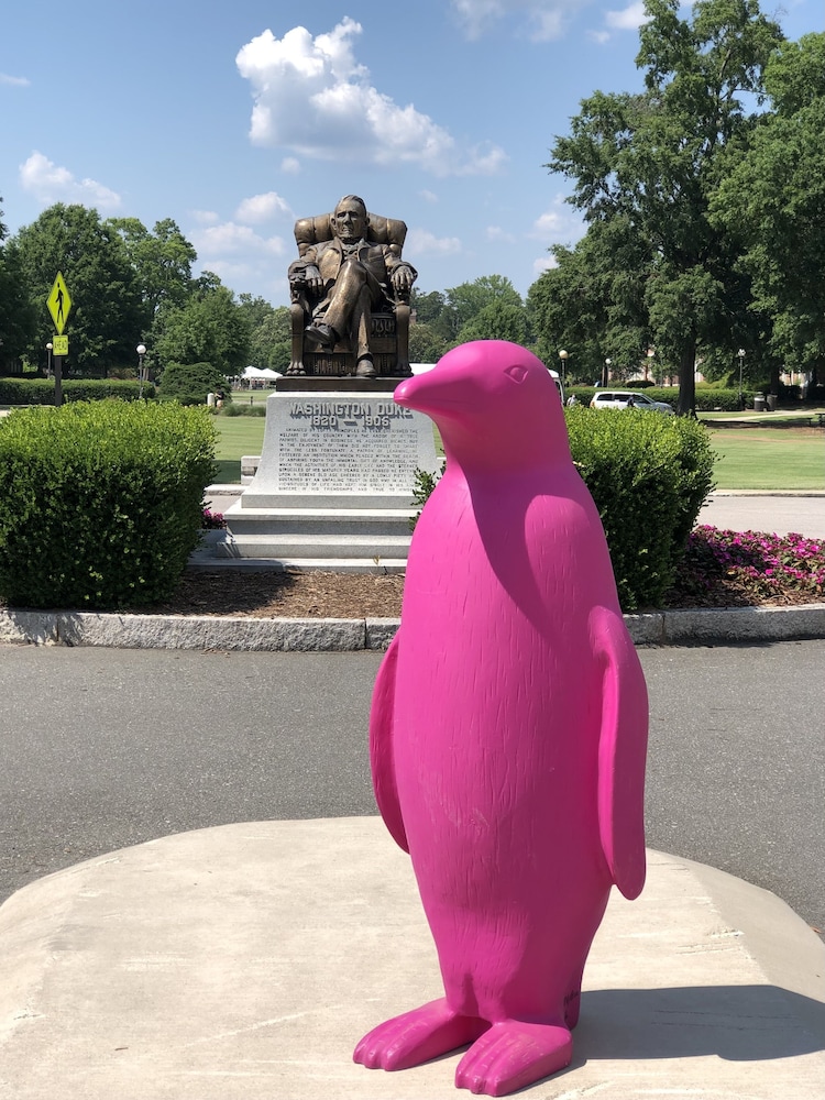 Land view from property