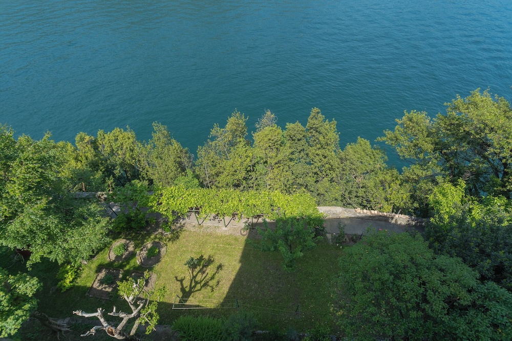 Lake view