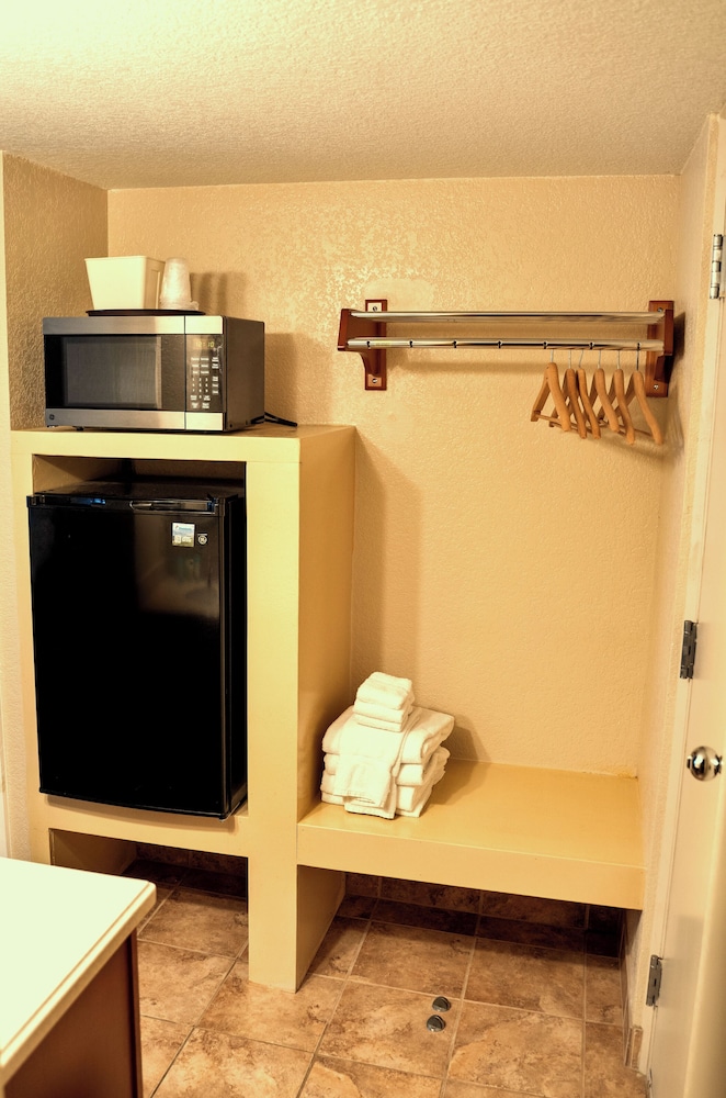 Mini-refrigerator