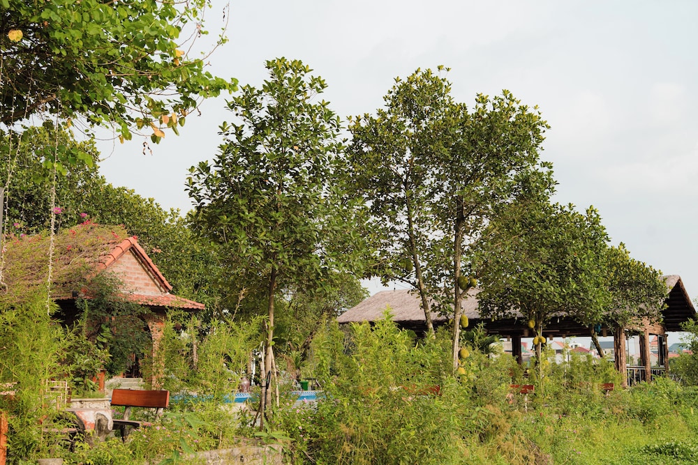 Garden view