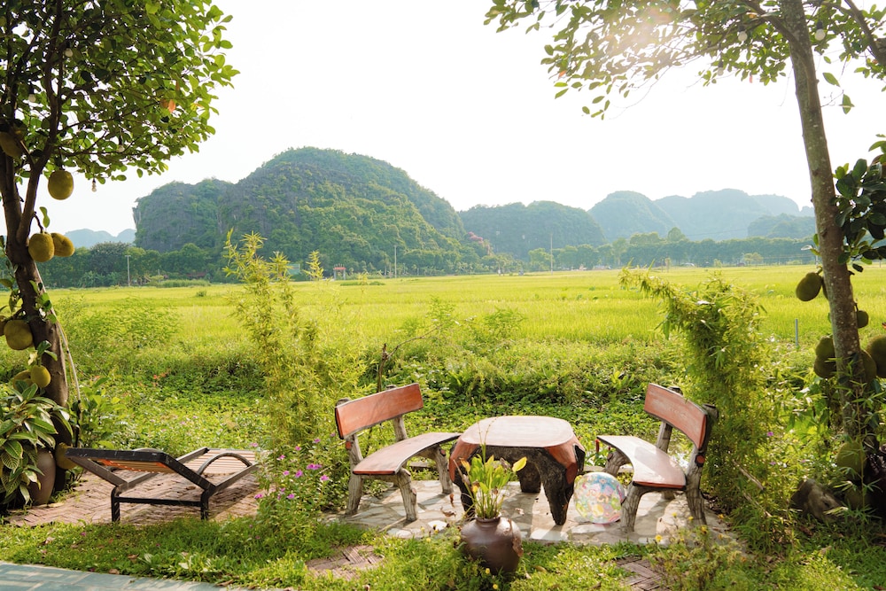 Garden view