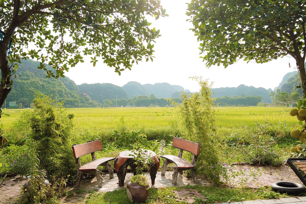 Garden view