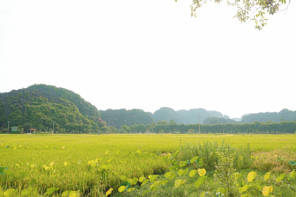 Land view from property