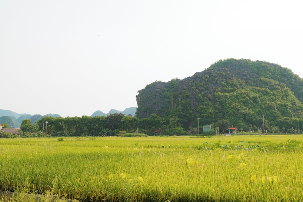 Land view from property
