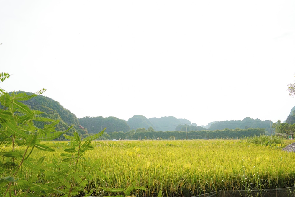Land view from property