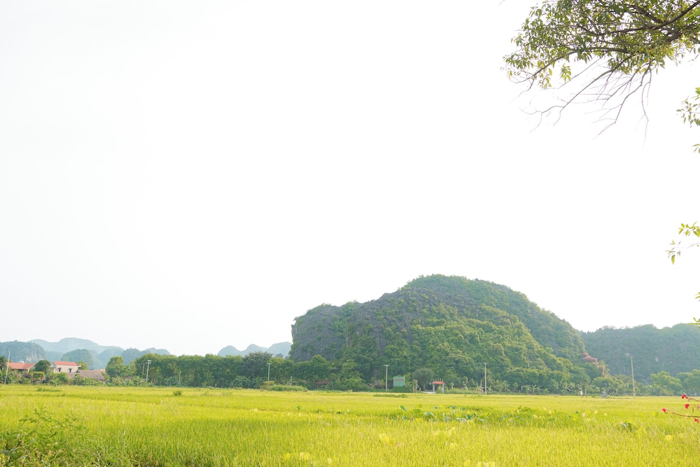 Land view from property