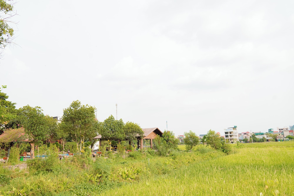 Land view from property