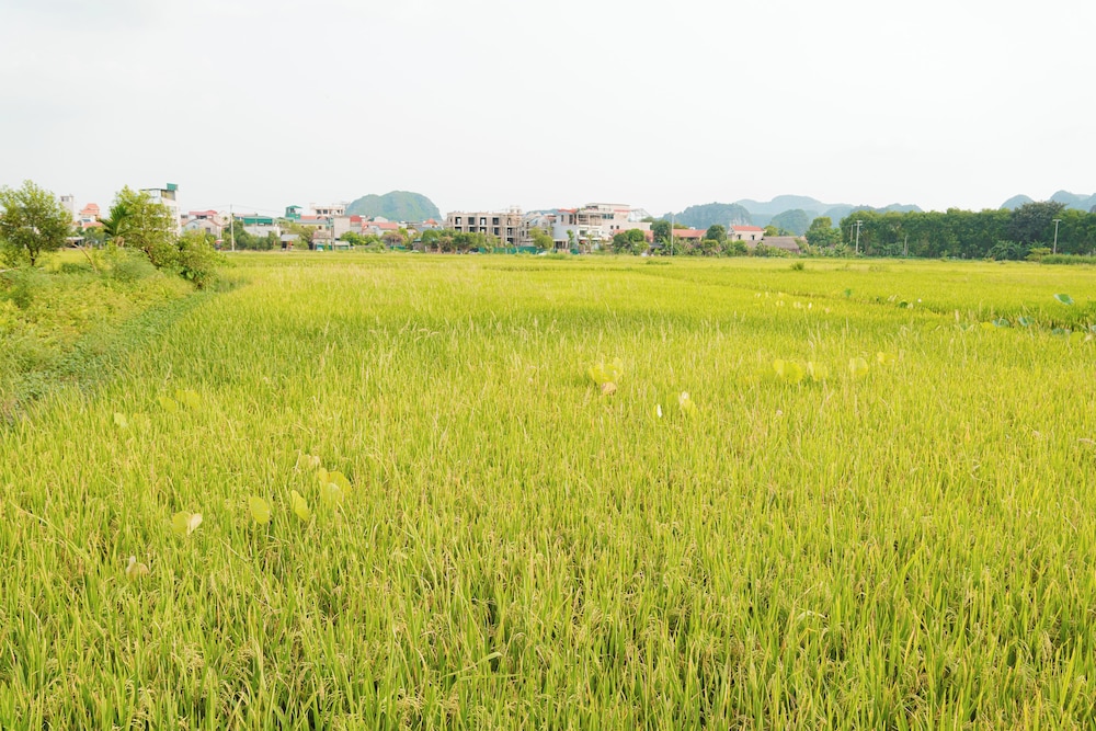 Land view from property