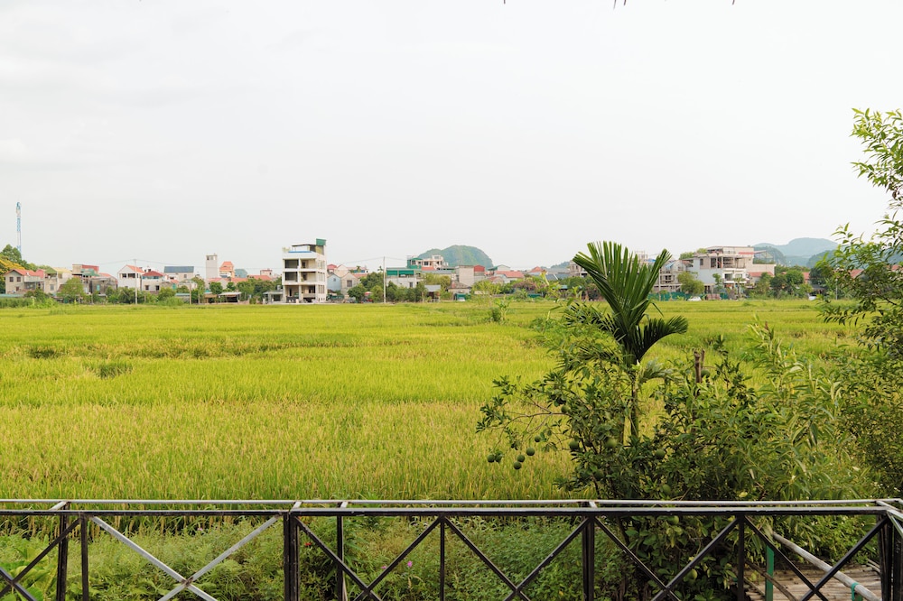 Land view from property