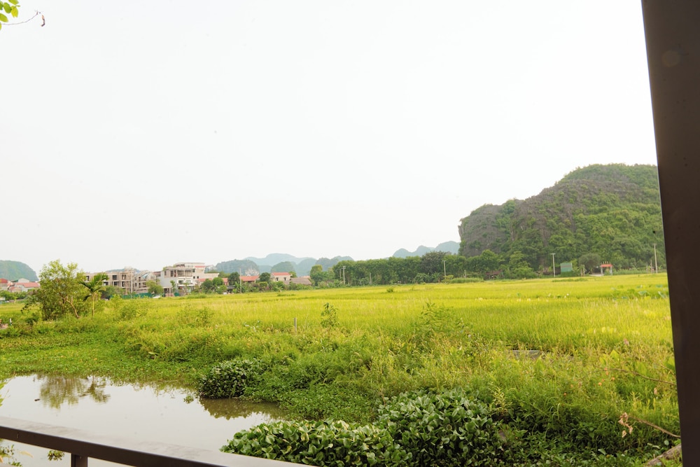 Land view from property