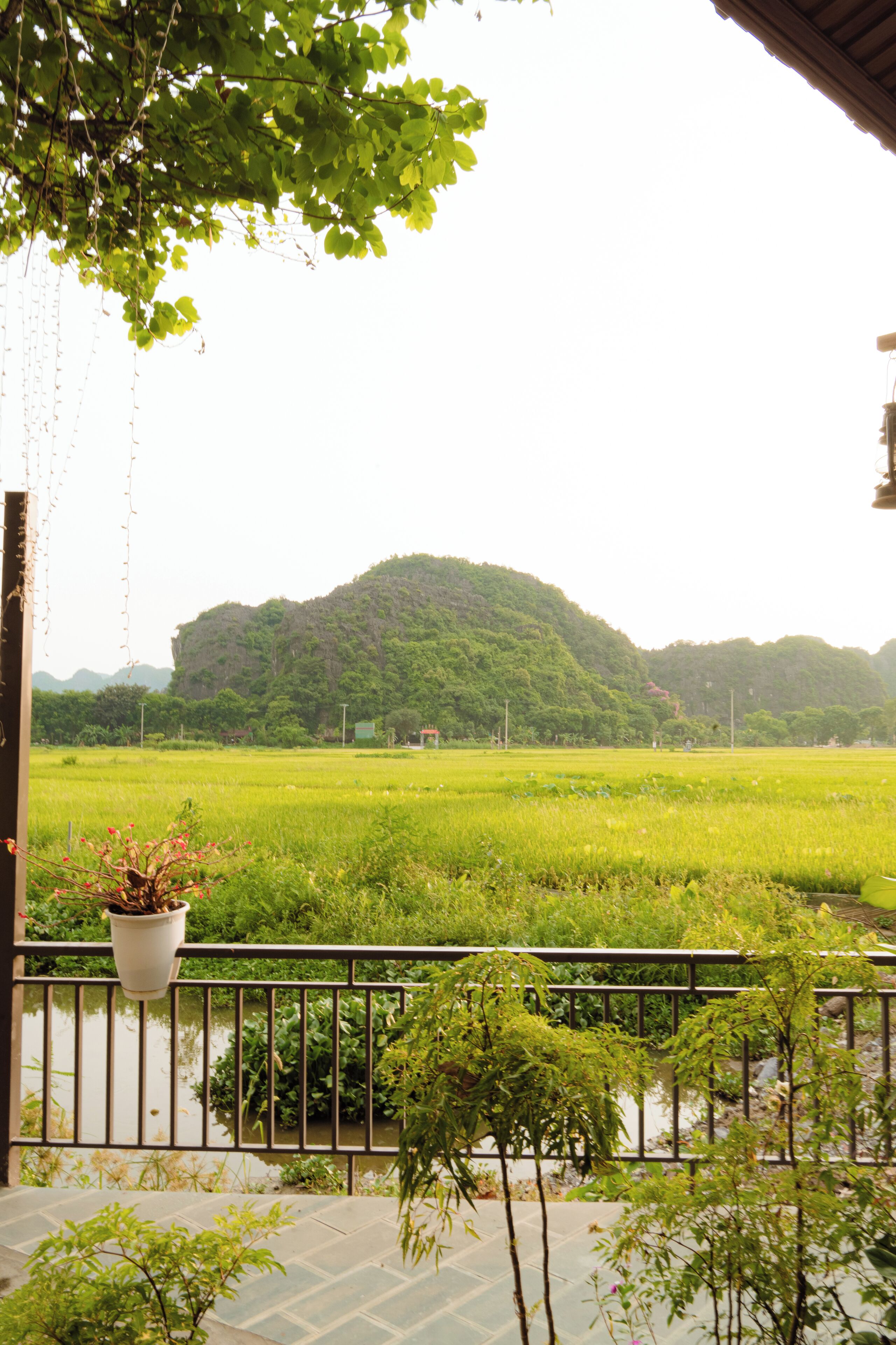 Land view from property