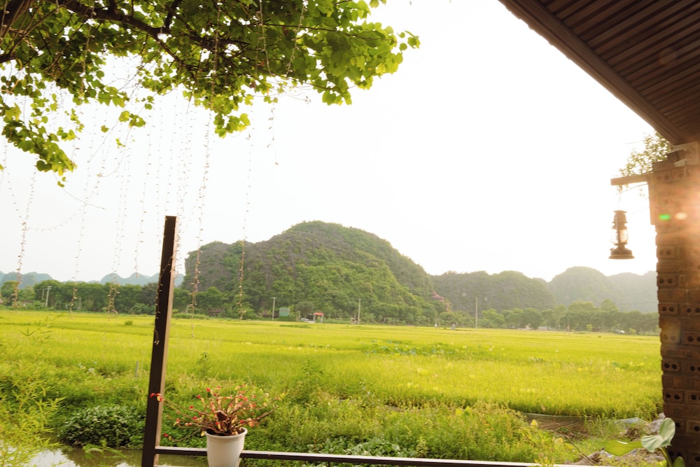 Land view from property