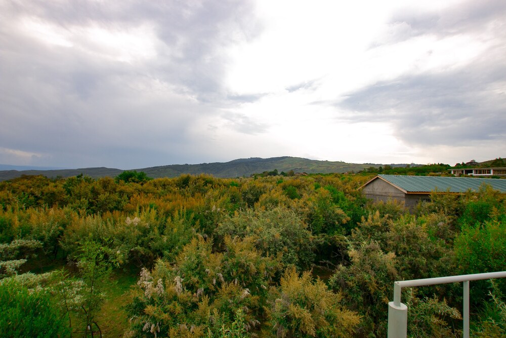 Land view from property