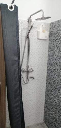 380039553.jpg