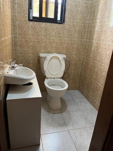 508074231.jpg