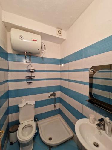 577276615.jpg