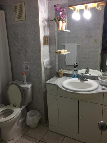 600467215.jpg