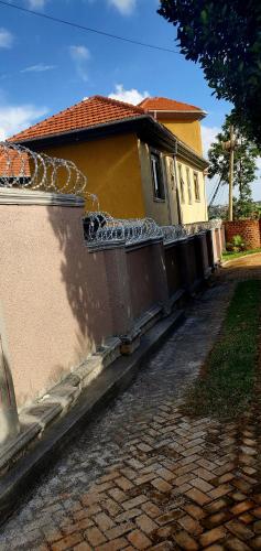 619829896.jpg