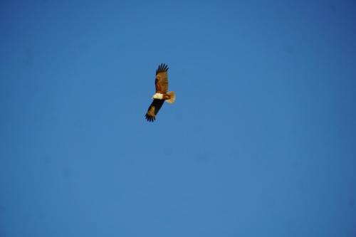 632036461.jpg