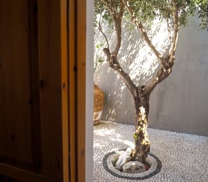 thumbnail: Terrace/patio