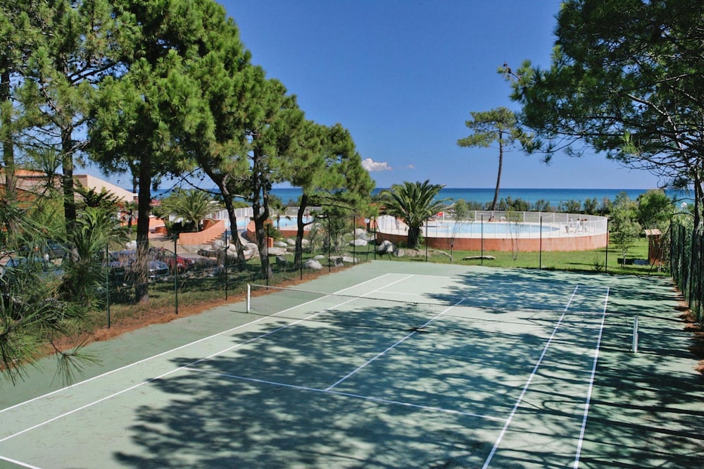 Sport court