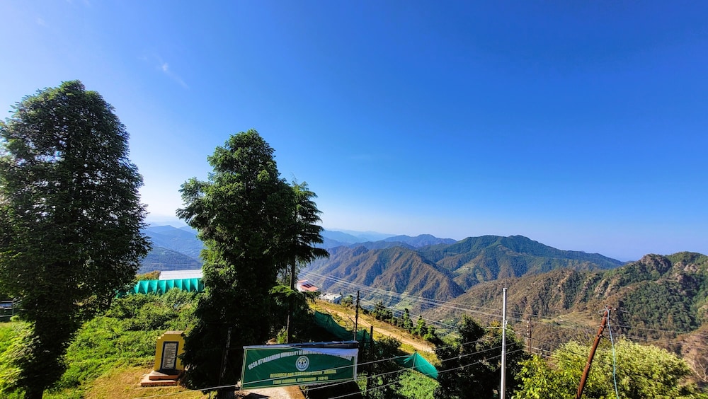 Mountain view