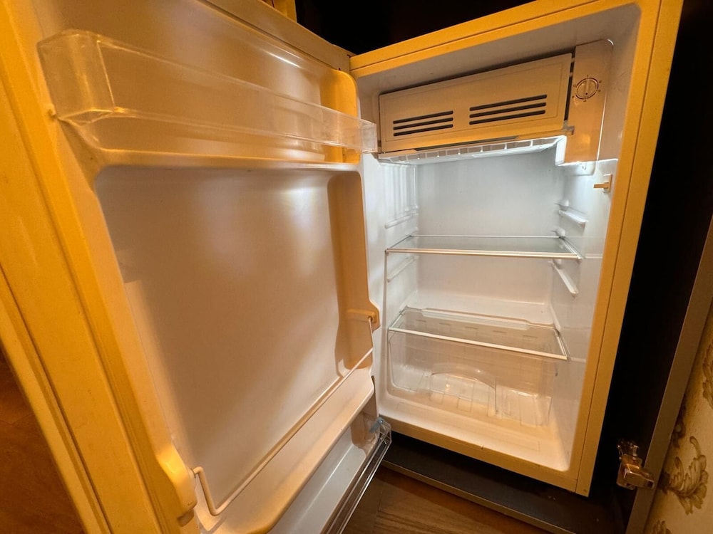 Mini-refrigerator