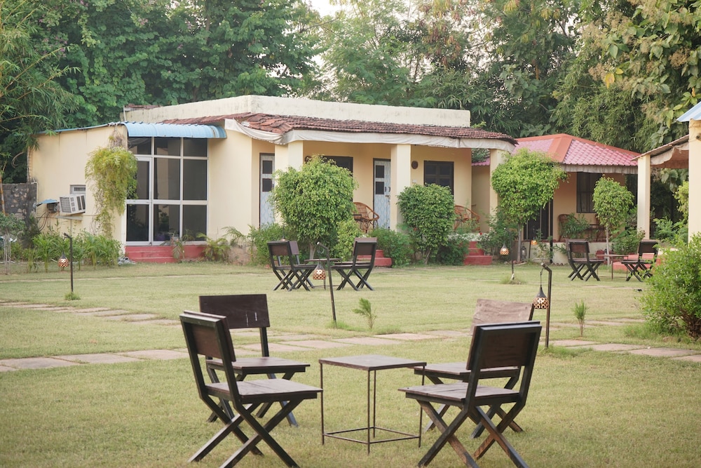 Garden view