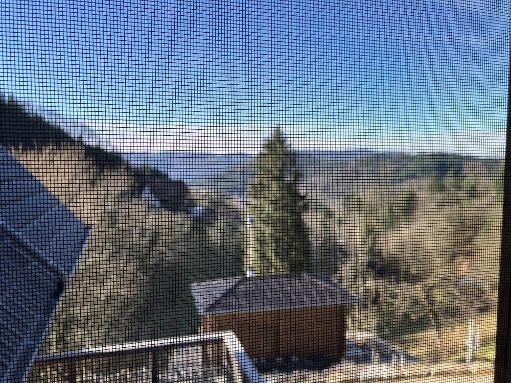 View from room
