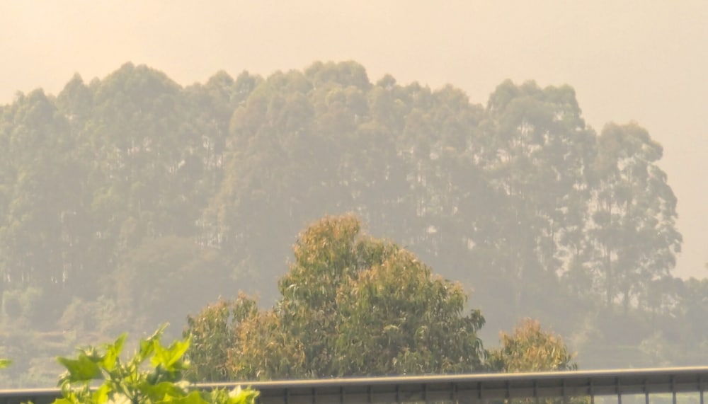 Land view from property