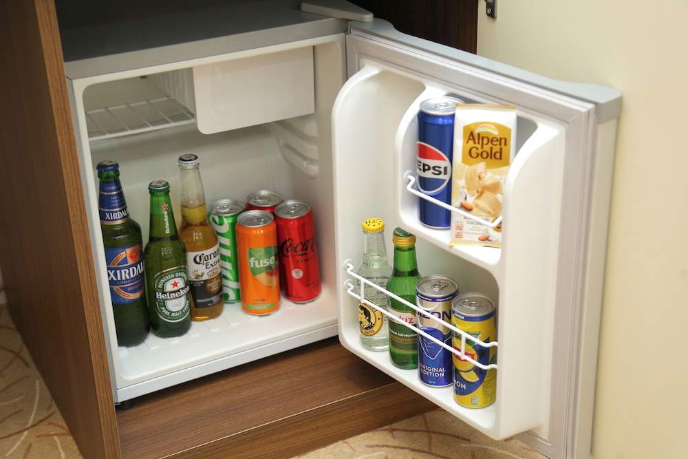 Mini-refrigerator