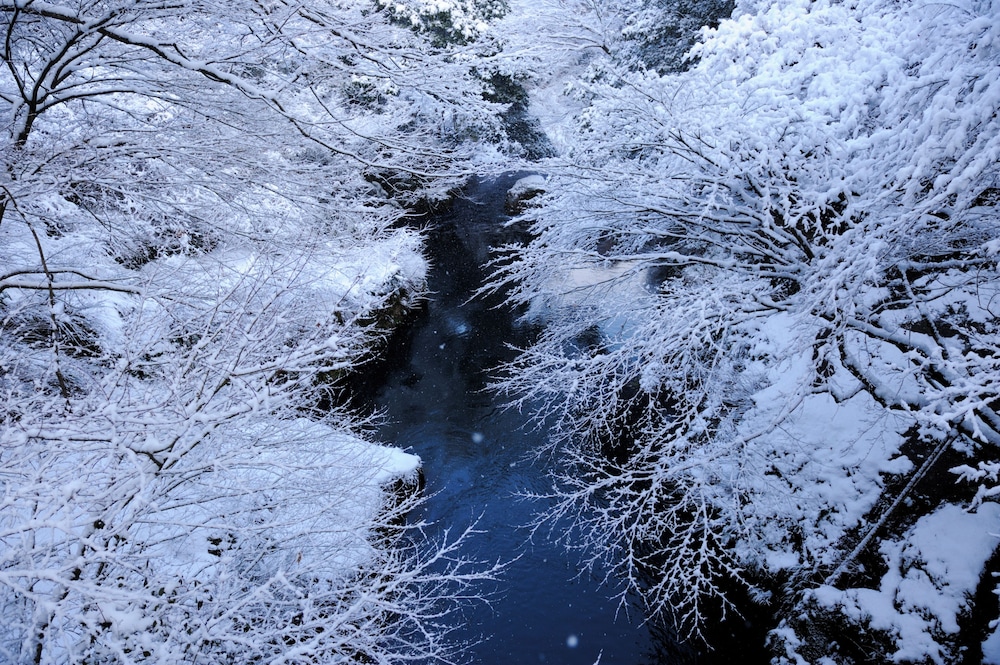 Land view from property