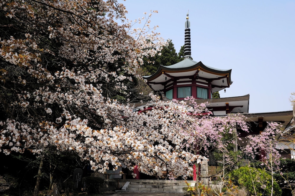 Land view from property