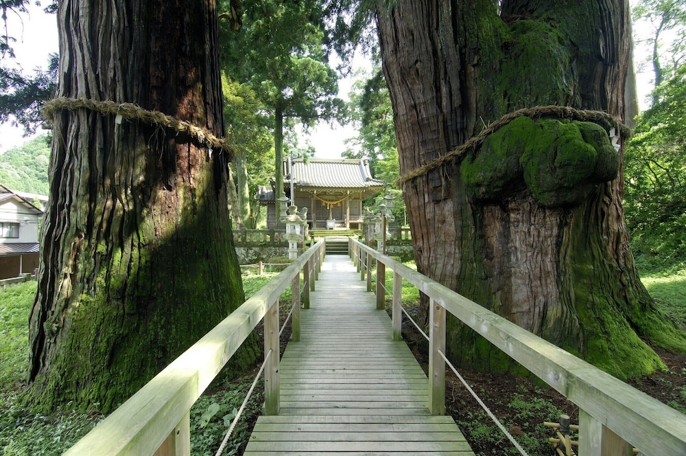 Land view from property
