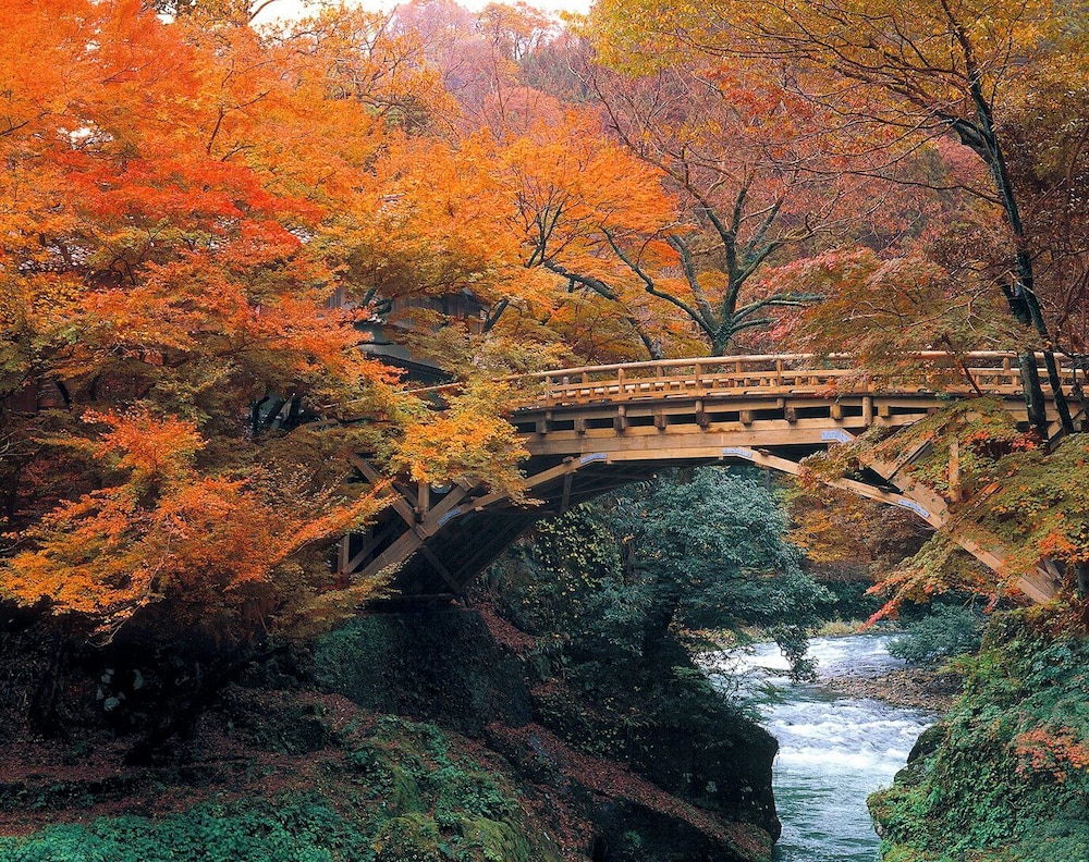 Land view from property