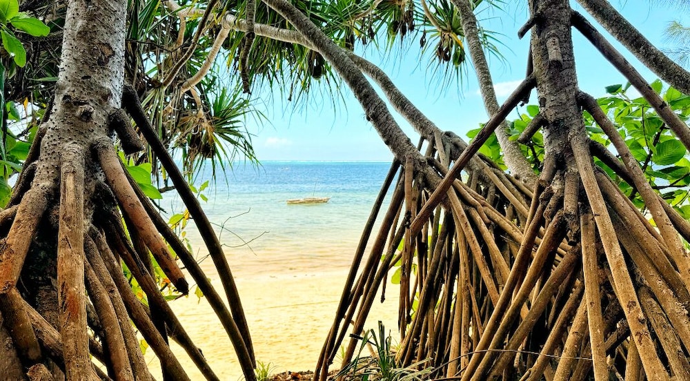 Beach/ocean view