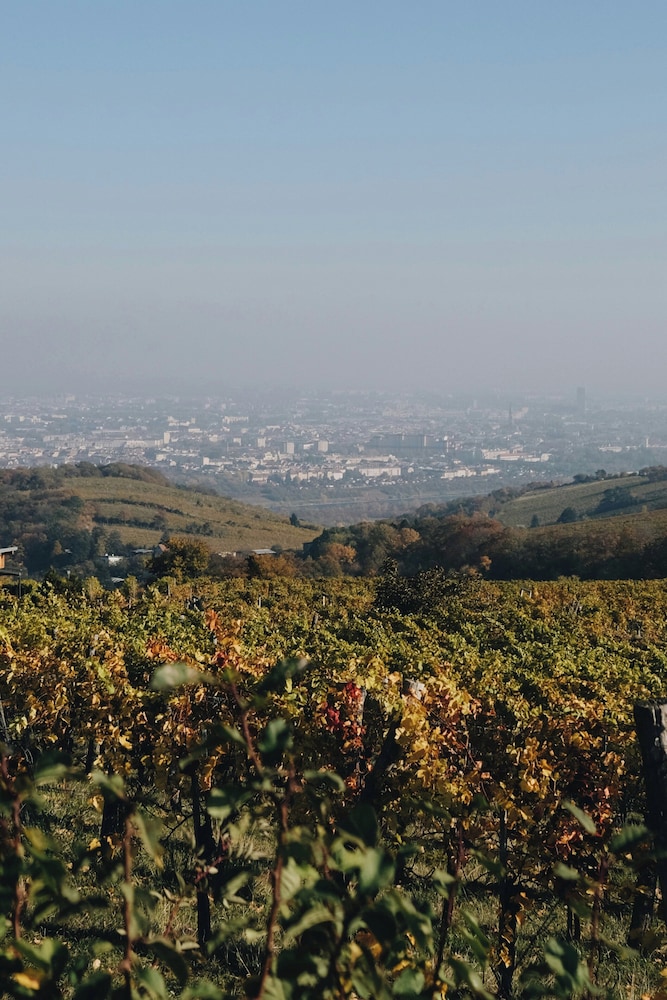 Land view from property