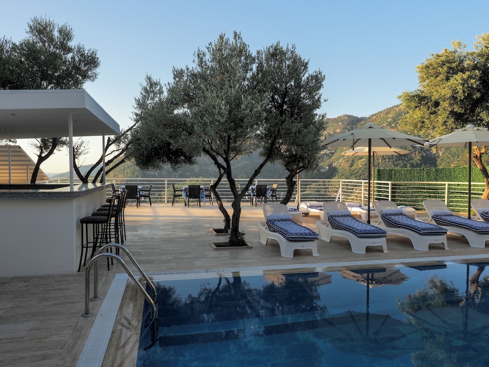 Swim-up bar
