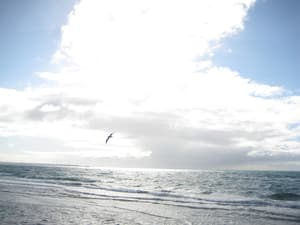 thumbnail: View from property