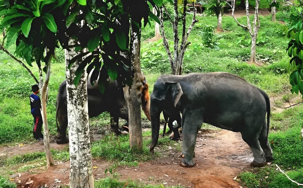 Ecotours