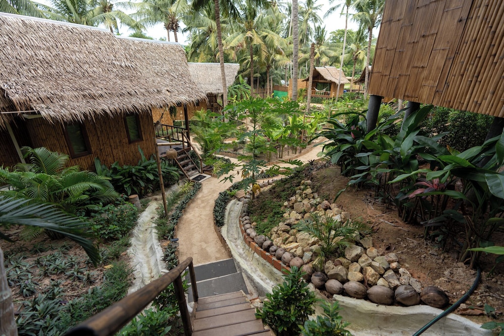 Garden view